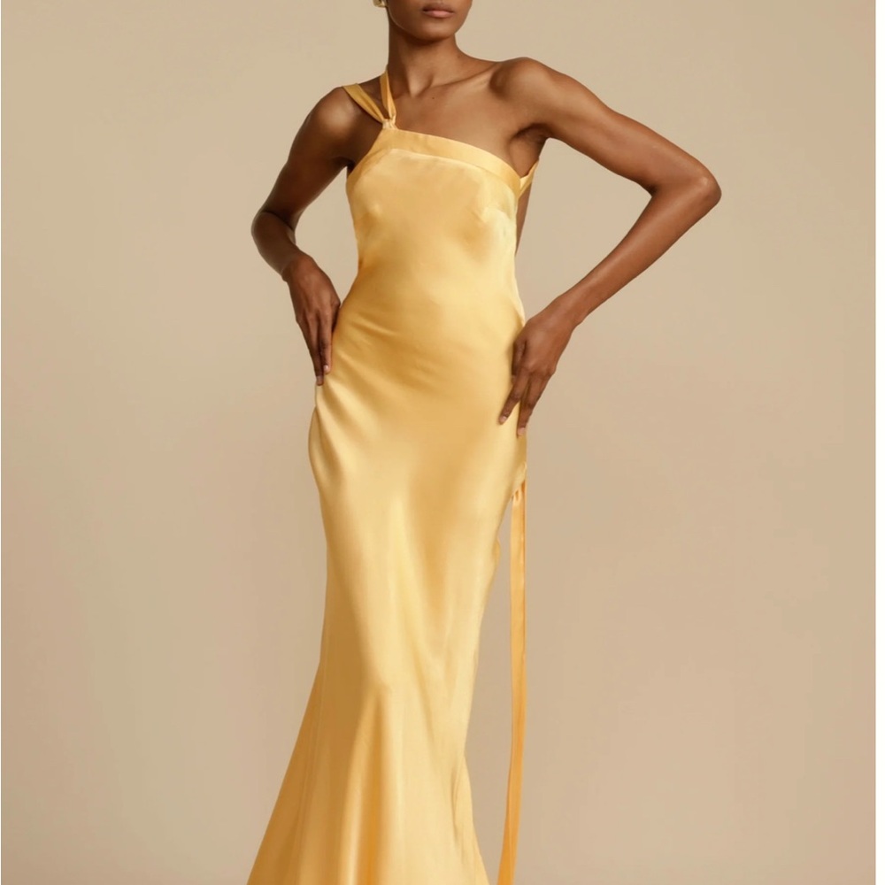 MONIQUE DRESS SUNSHINE - Website price $520